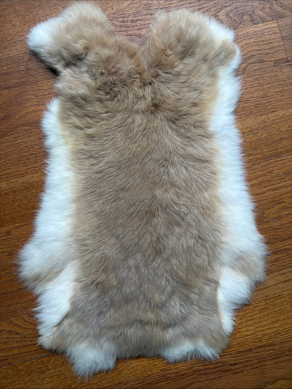 #0020 premium rabbit fur pelt craft supply